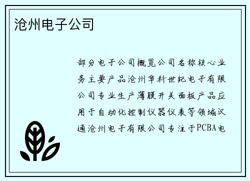 沧州电子公司